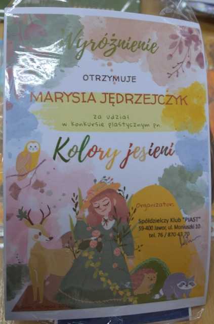 SP Sokołowiec - Wyróżnienia…