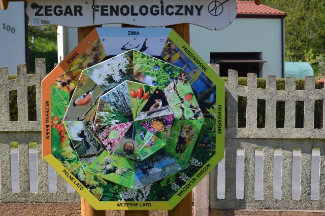 SP Sokołowiec - Kostka dojechała….