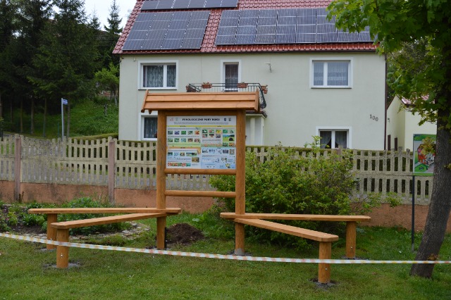 SP Sokołowiec - W naszym ogrodzie dzieje się…..