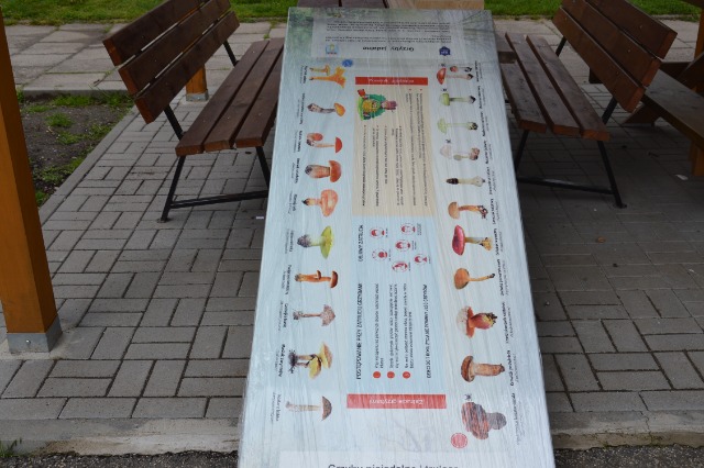 SP Sokołowiec - ŁAWOSTOŁY JUŻ SĄ….