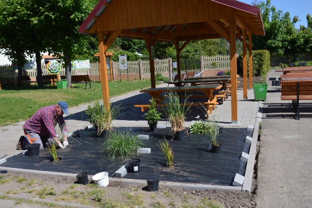 SP Sokołowiec - W naszym magicznym ogrodzie…