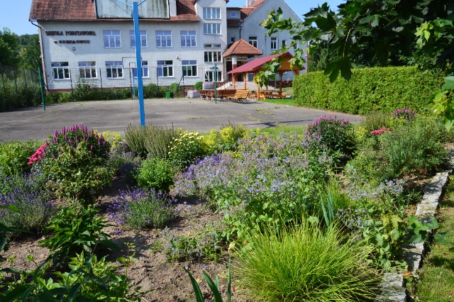 SP Sokołowiec - W naszym magicznym ogrodzie…