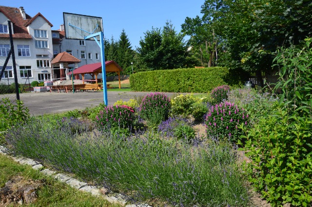 SP Sokołowiec - W naszym magicznym ogrodzie…